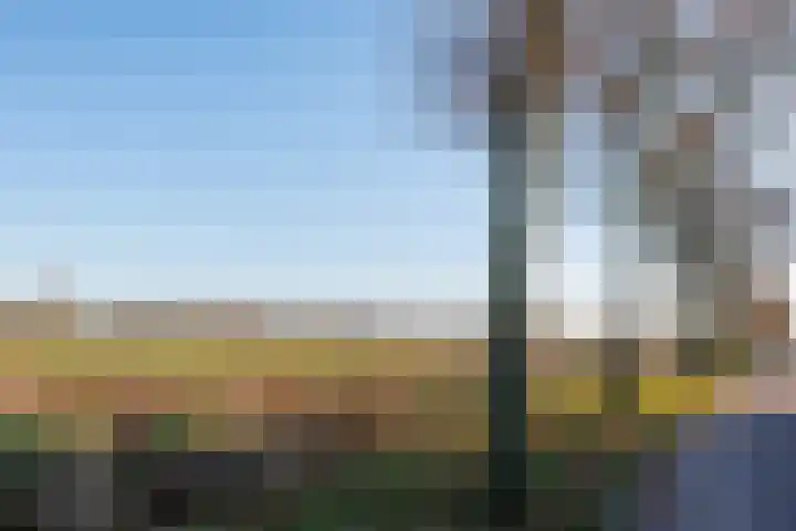 Anemoonstraat 6 Siebengewald thumbnail 50