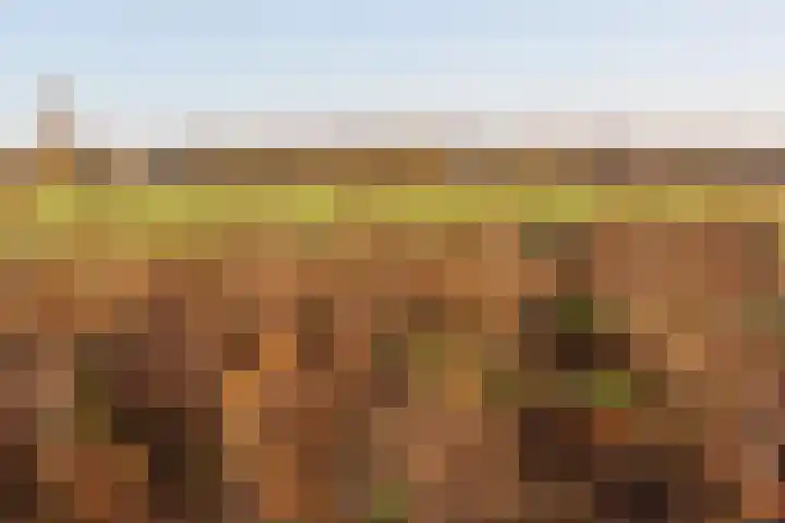 Anemoonstraat 6 Siebengewald thumbnail 51