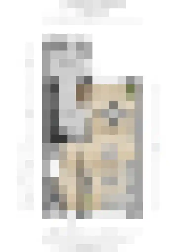 Anemoonstraat 6 Siebengewald thumbnail 55
