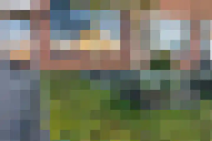 Anemoonstraat 6 Siebengewald thumbnail 8