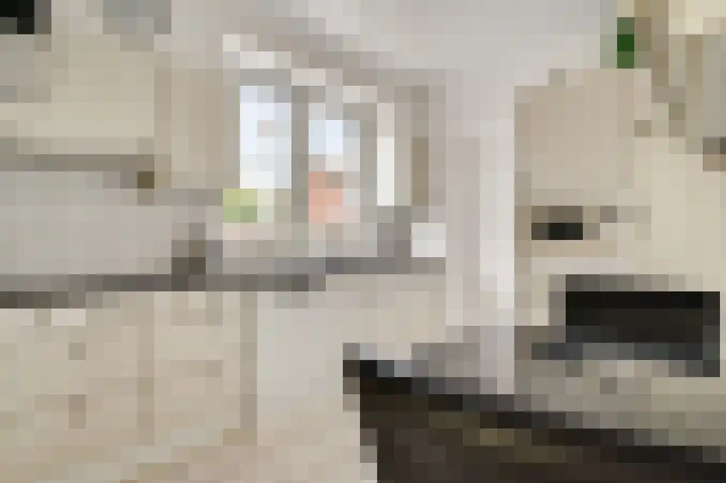 Anemoonstraat 7 Ittervoort thumbnail 10