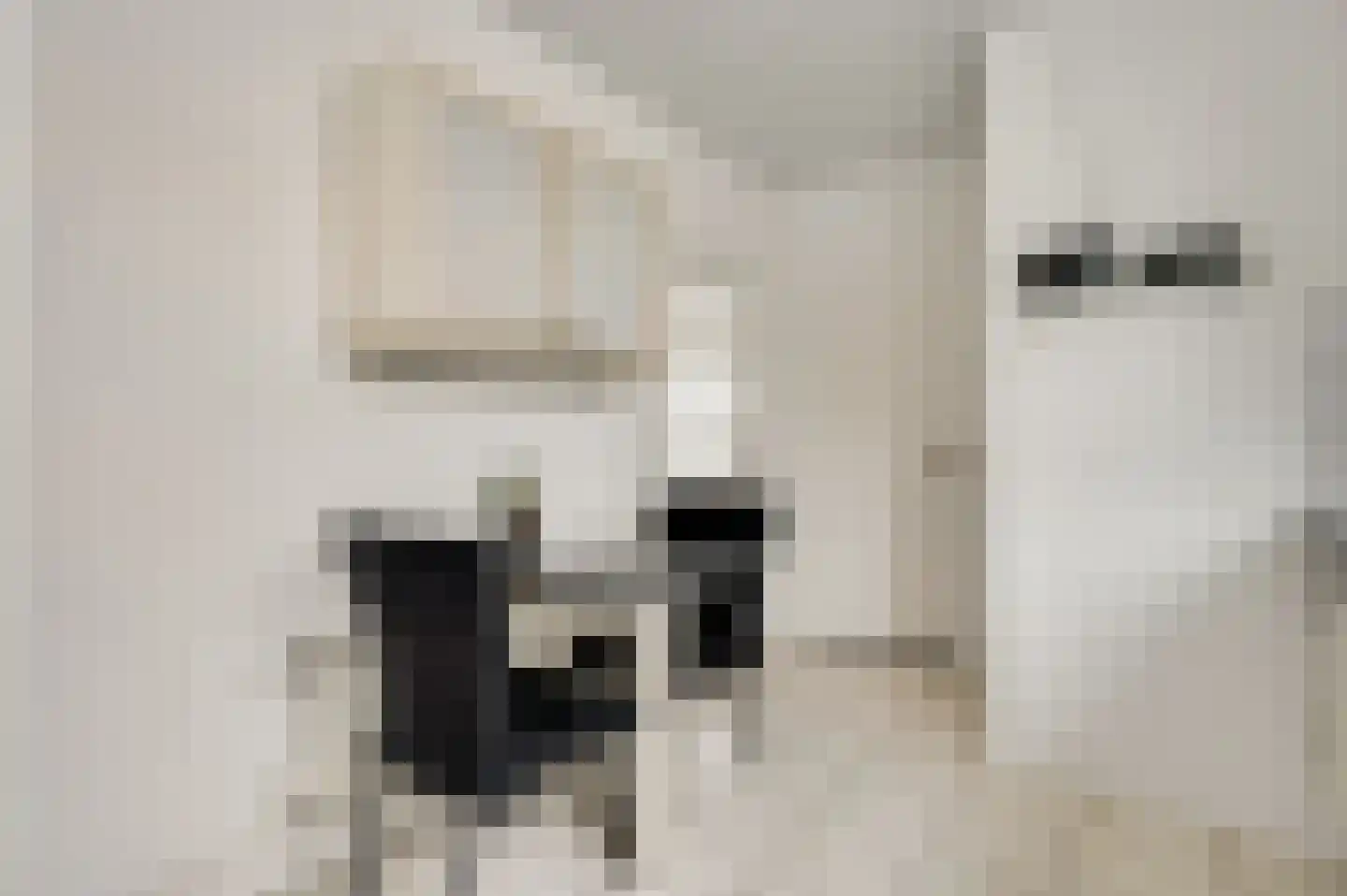 Anemoonstraat 7 Ittervoort thumbnail 11