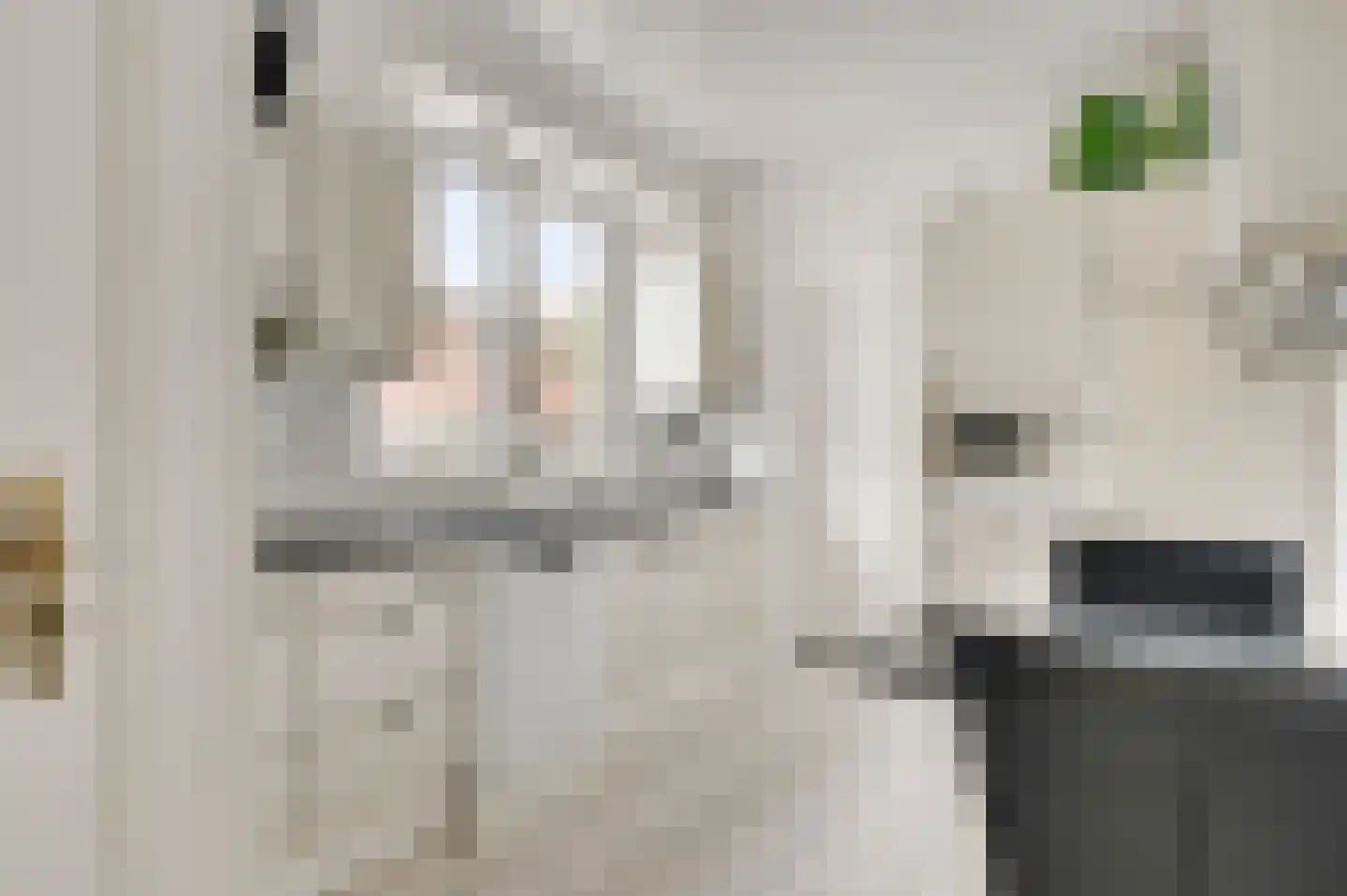 Anemoonstraat 7 Ittervoort thumbnail 17