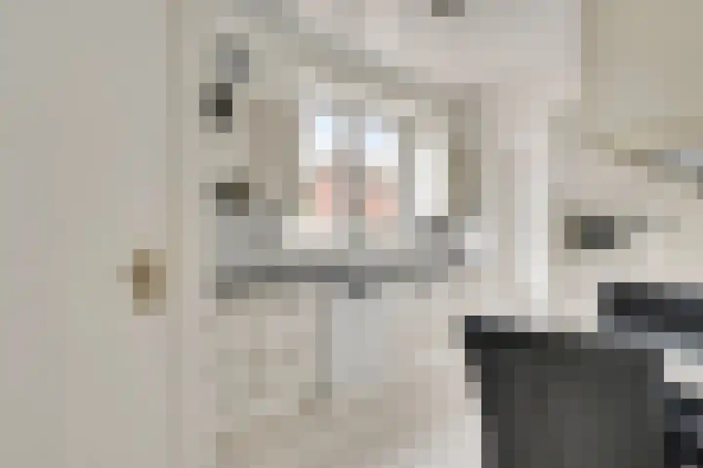 Anemoonstraat 7 Ittervoort thumbnail 18