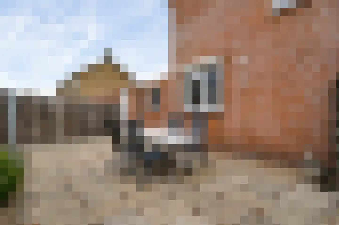 Anemoonstraat 7 Ittervoort thumbnail 18