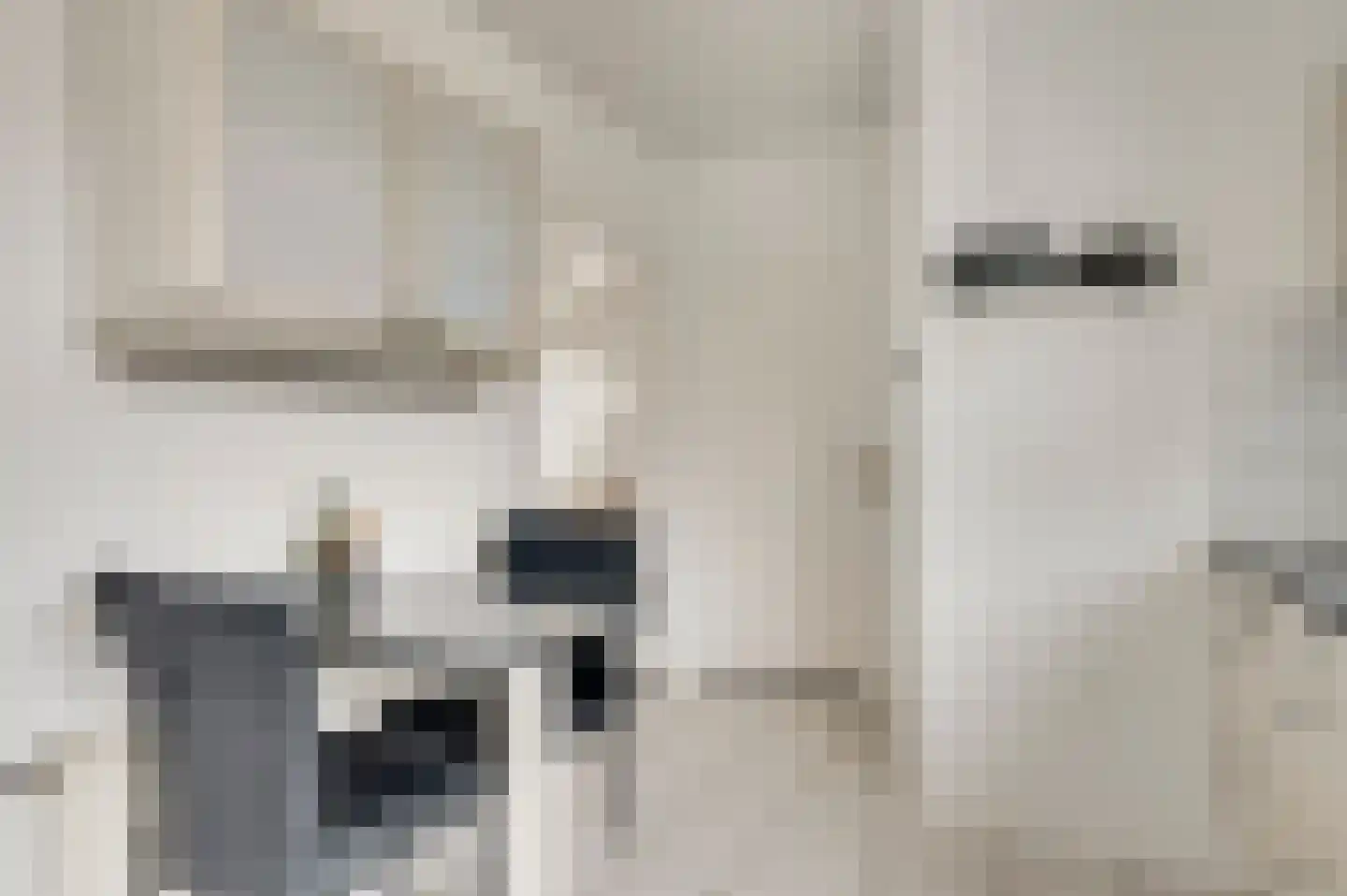 Anemoonstraat 7 Ittervoort thumbnail 19