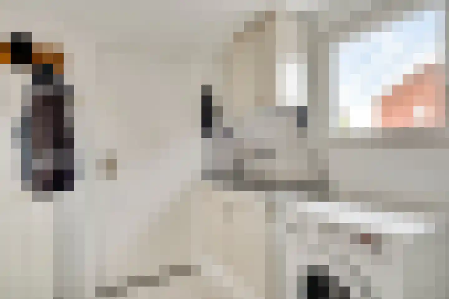 Anemoonstraat 7 Ittervoort thumbnail 22