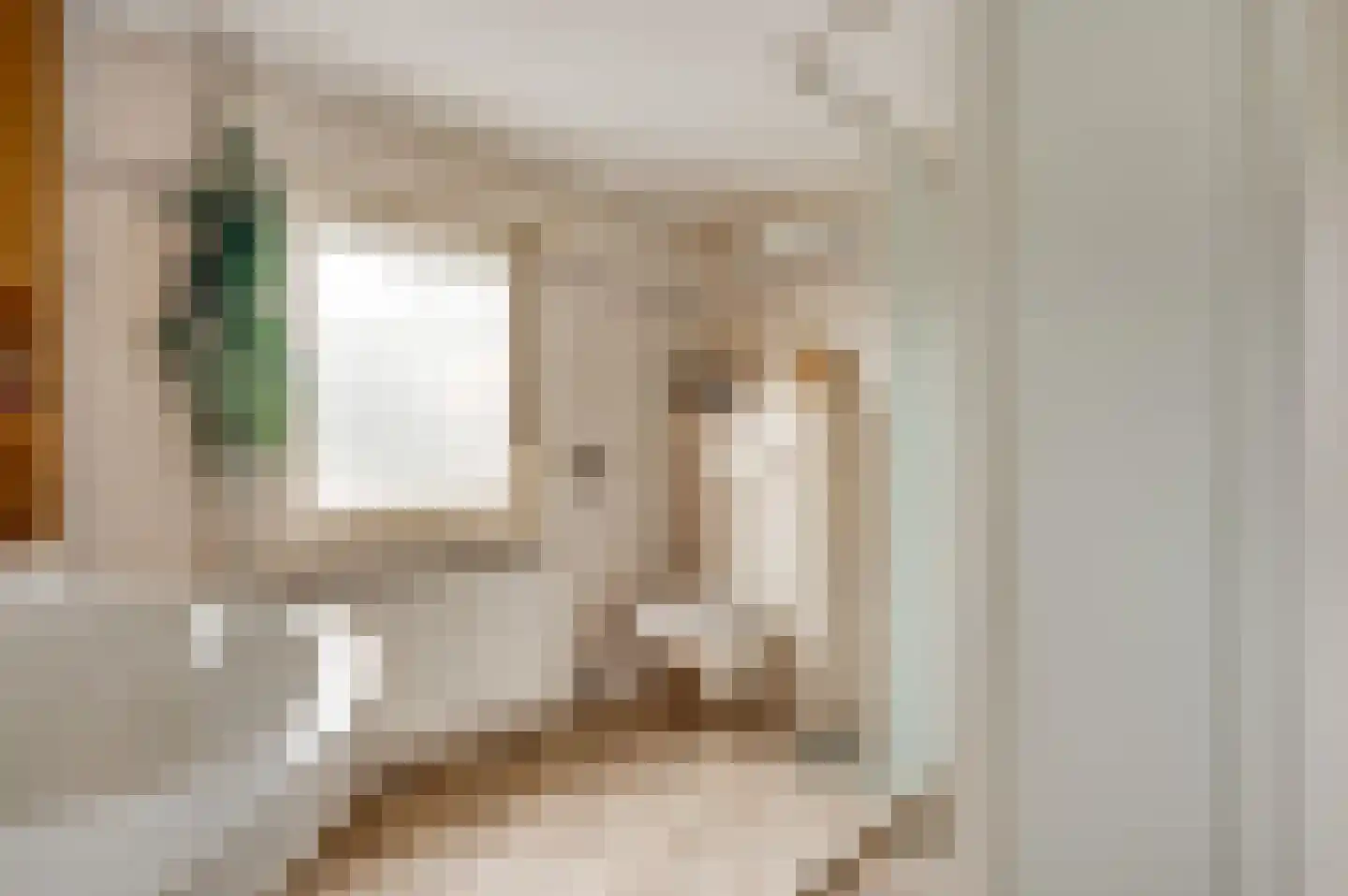 Anemoonstraat 7 Ittervoort thumbnail 29
