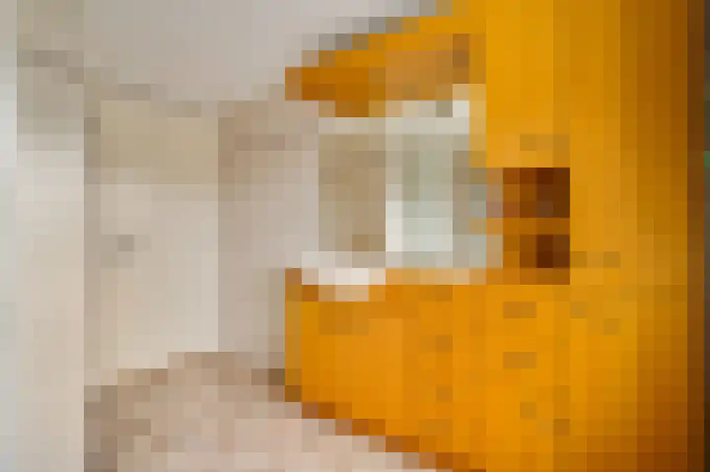 Anemoonstraat 7 Ittervoort thumbnail 30