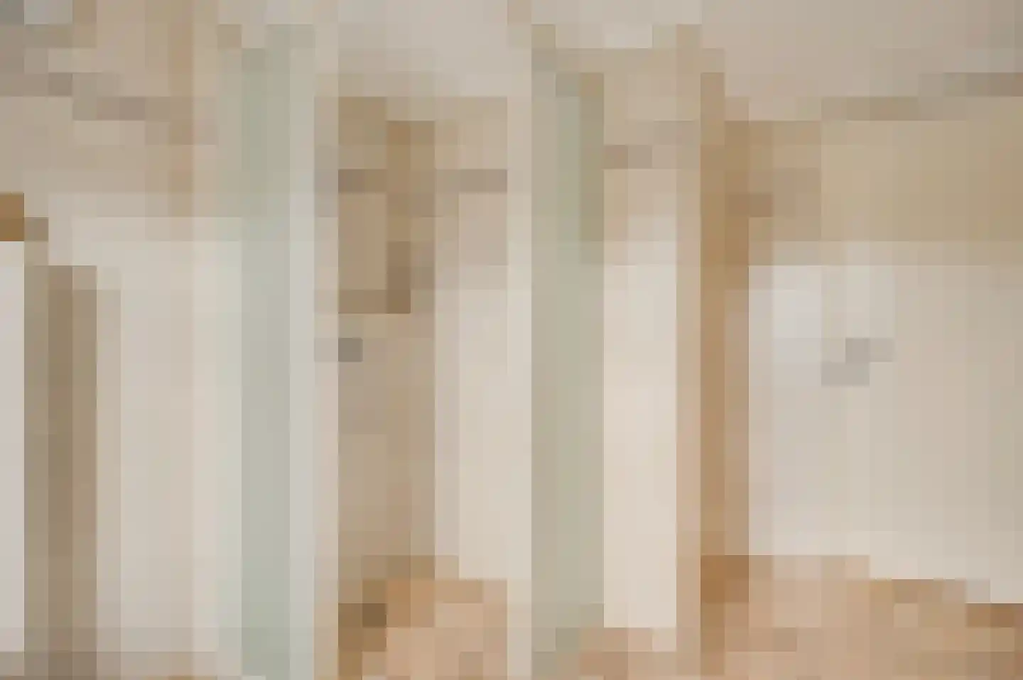Anemoonstraat 7 Ittervoort thumbnail 31