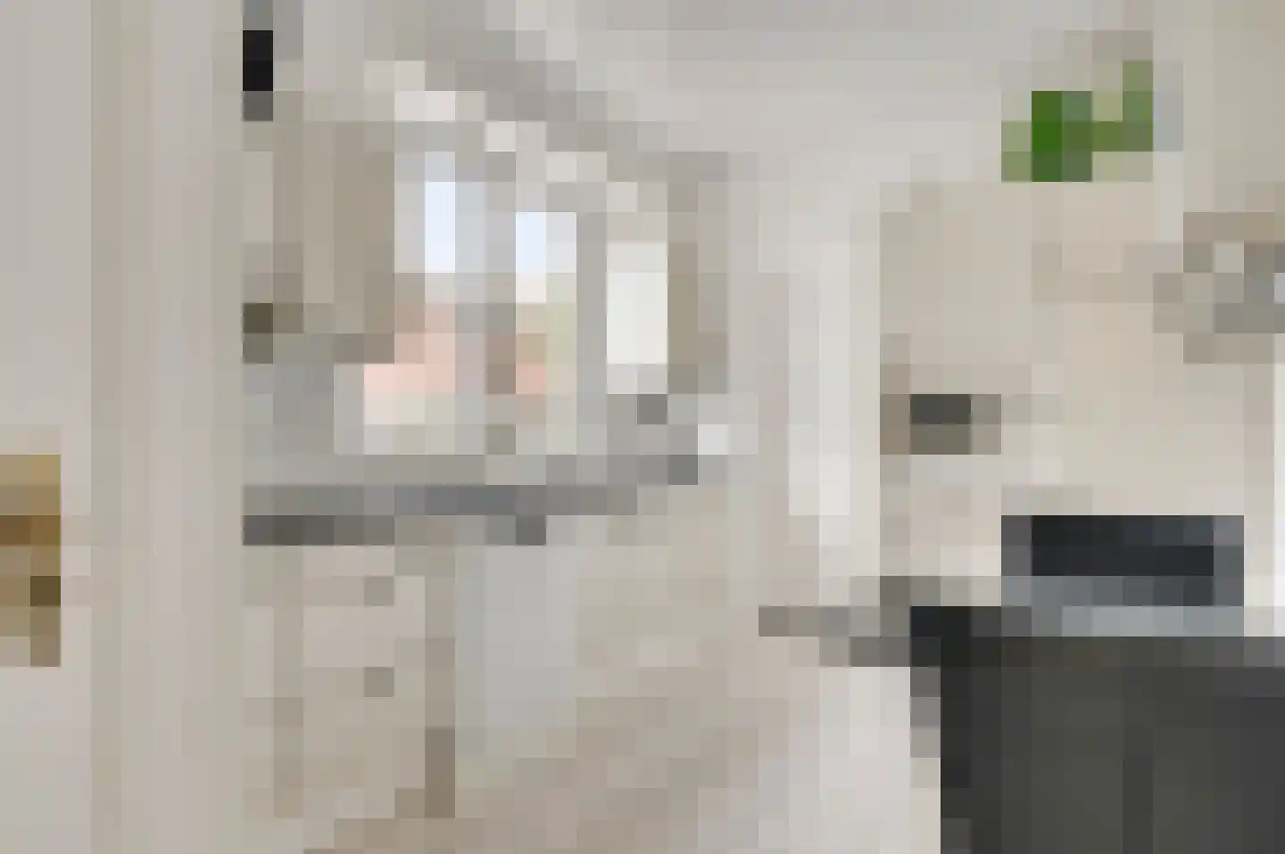 Anemoonstraat 7 Ittervoort thumbnail 4