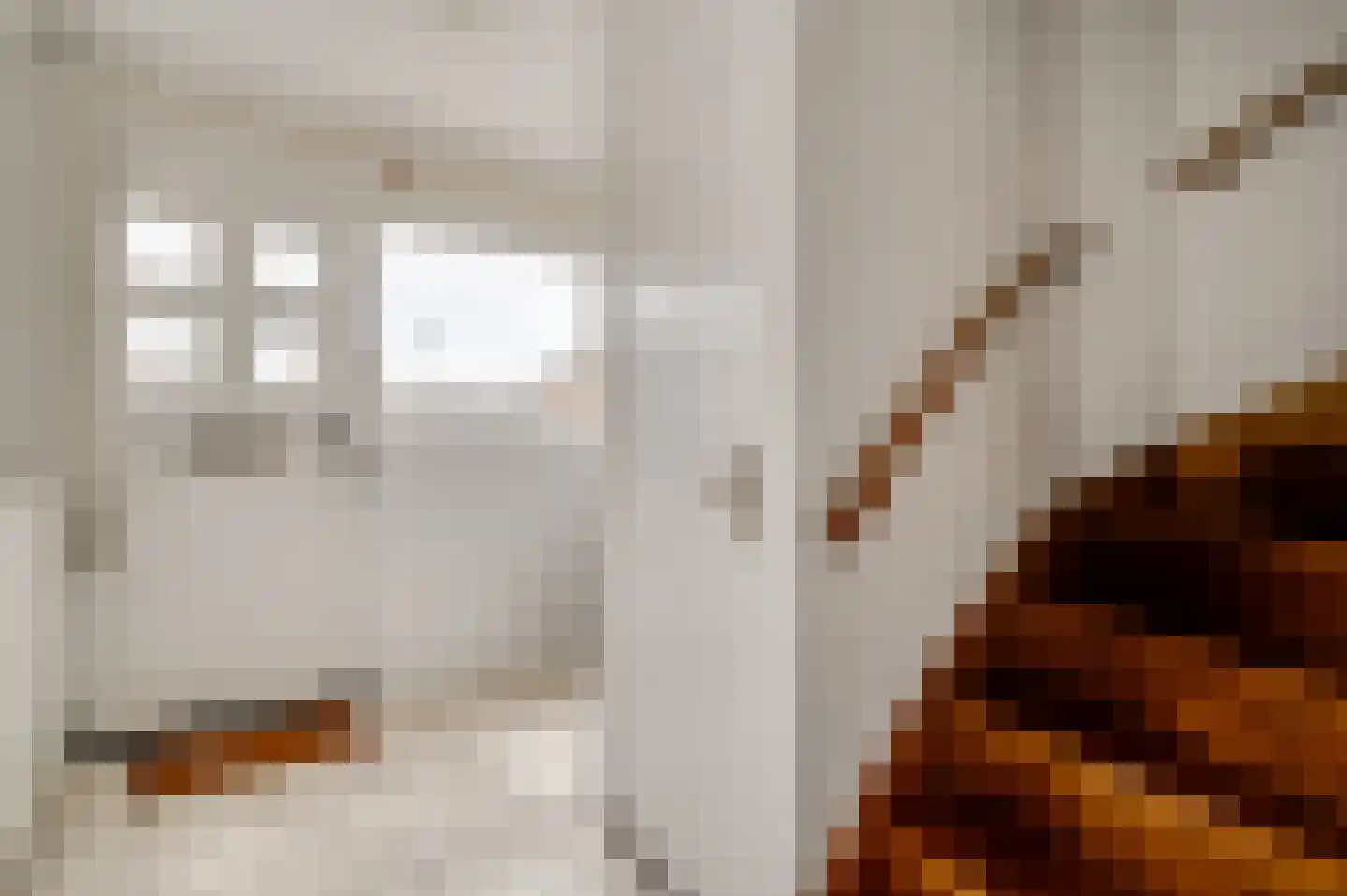 Anemoonstraat 7 Ittervoort thumbnail 4
