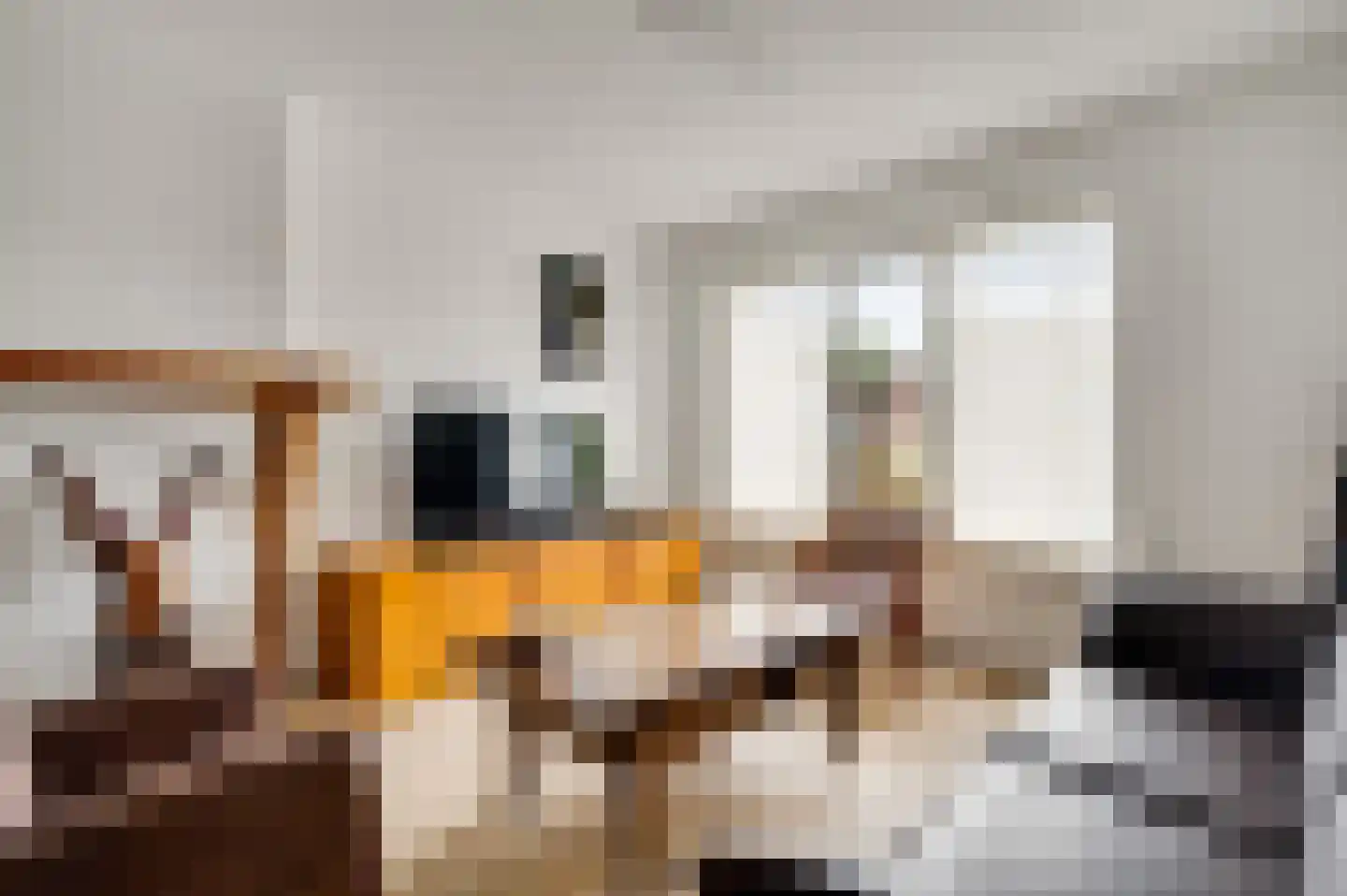 Anemoonstraat 7 Ittervoort thumbnail 6