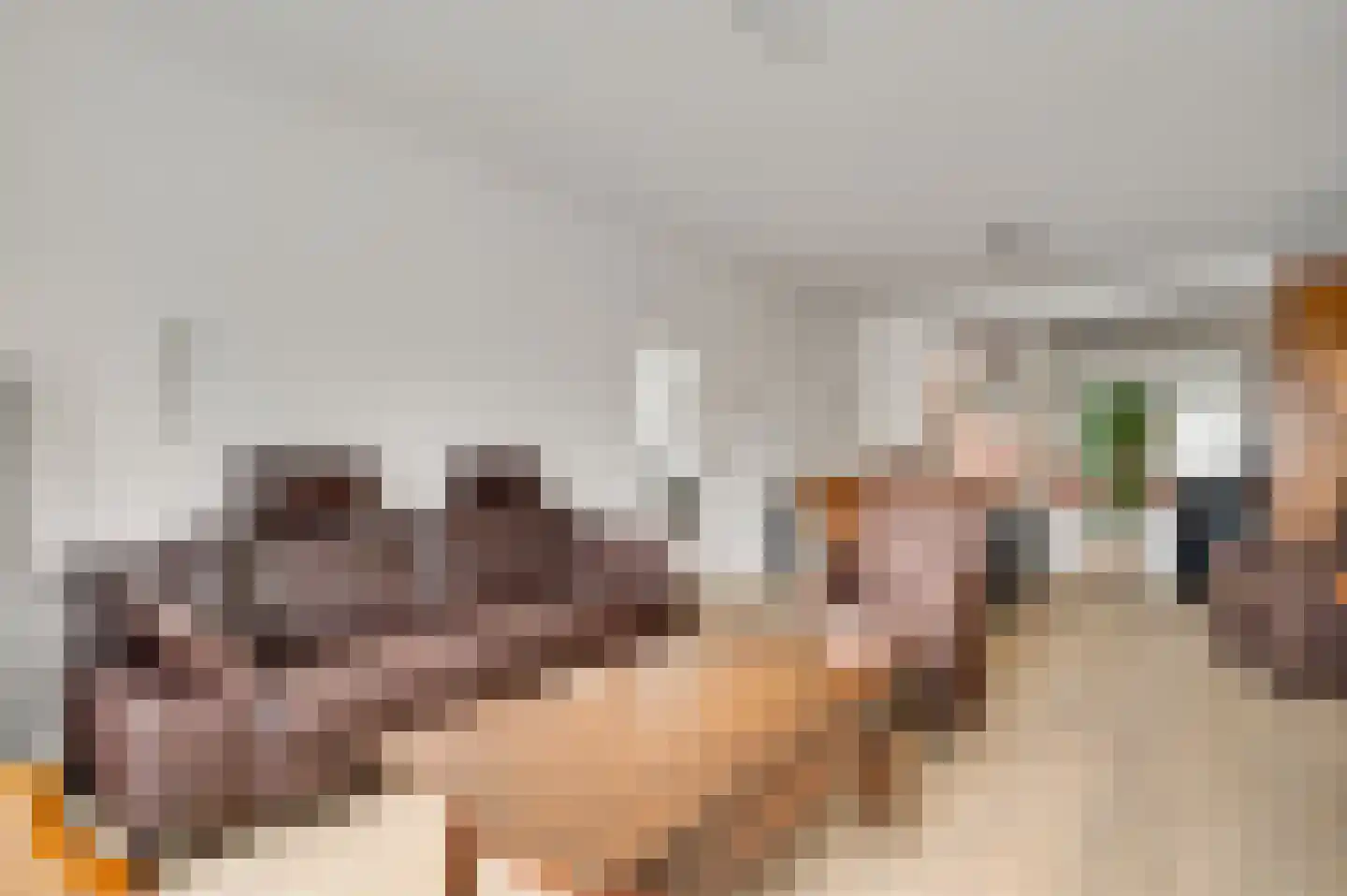 Anemoonstraat 7 Ittervoort thumbnail 7
