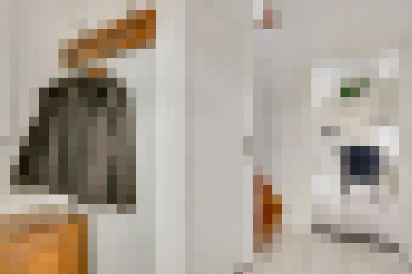 Anemoonstraat 7 Ittervoort thumbnail 8
