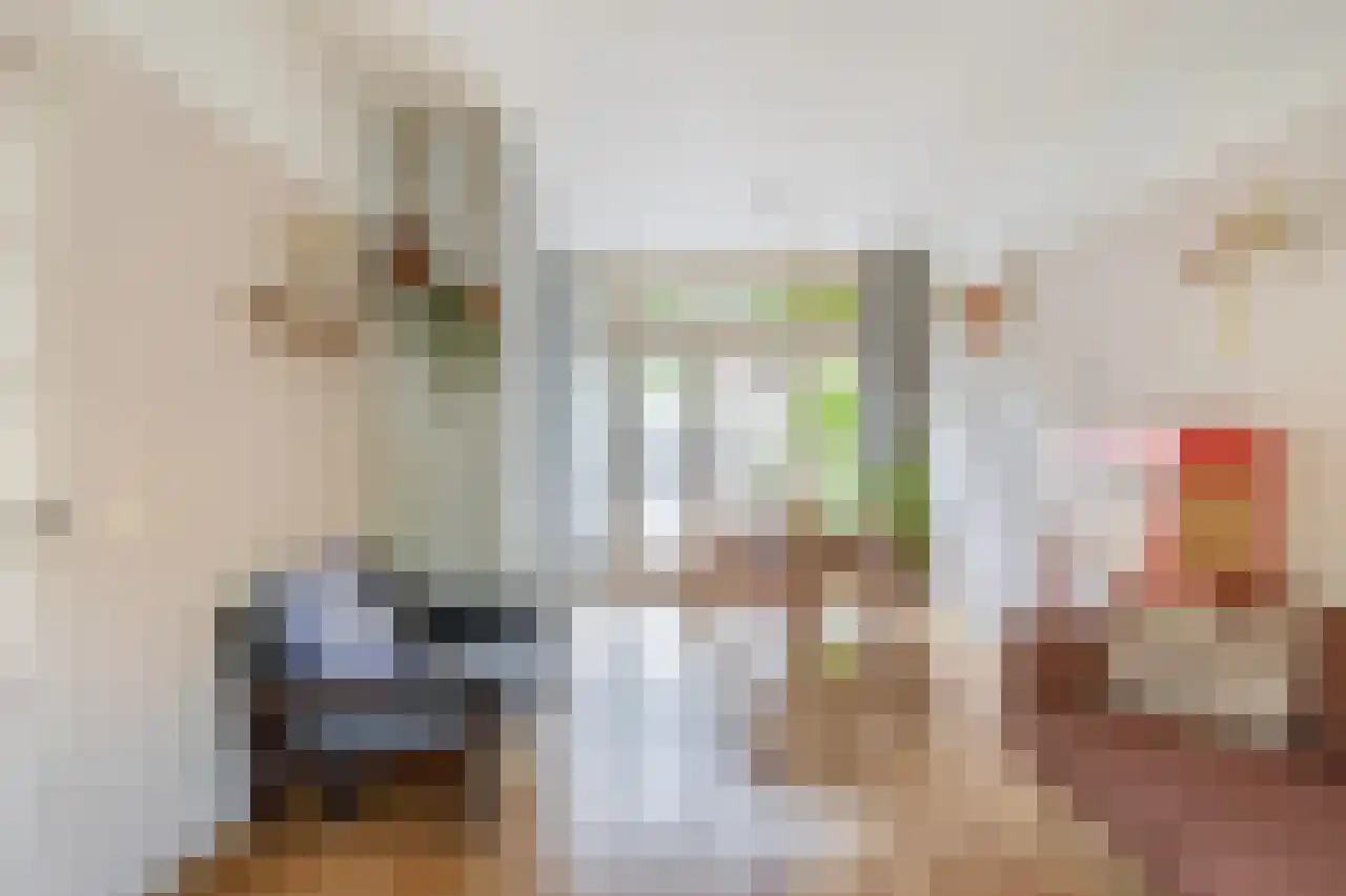 Anemoonstraat 73 Koog aan de Zaan thumbnail 11