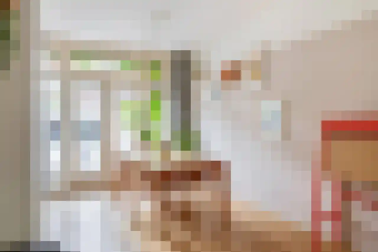 Anemoonstraat 73 Koog aan de Zaan thumbnail 12