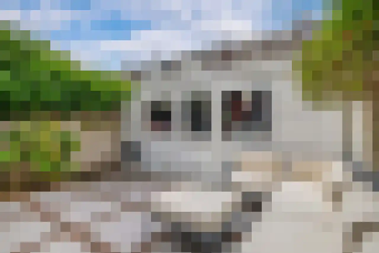 Anemoonstraat 73 Koog aan de Zaan thumbnail 33