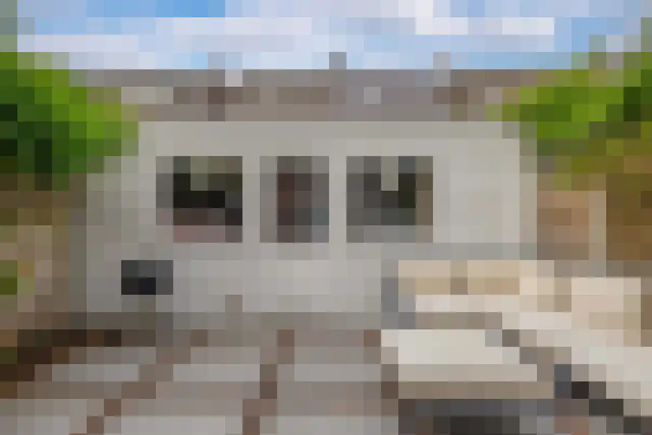 Anemoonstraat 73 Koog aan de Zaan thumbnail 34