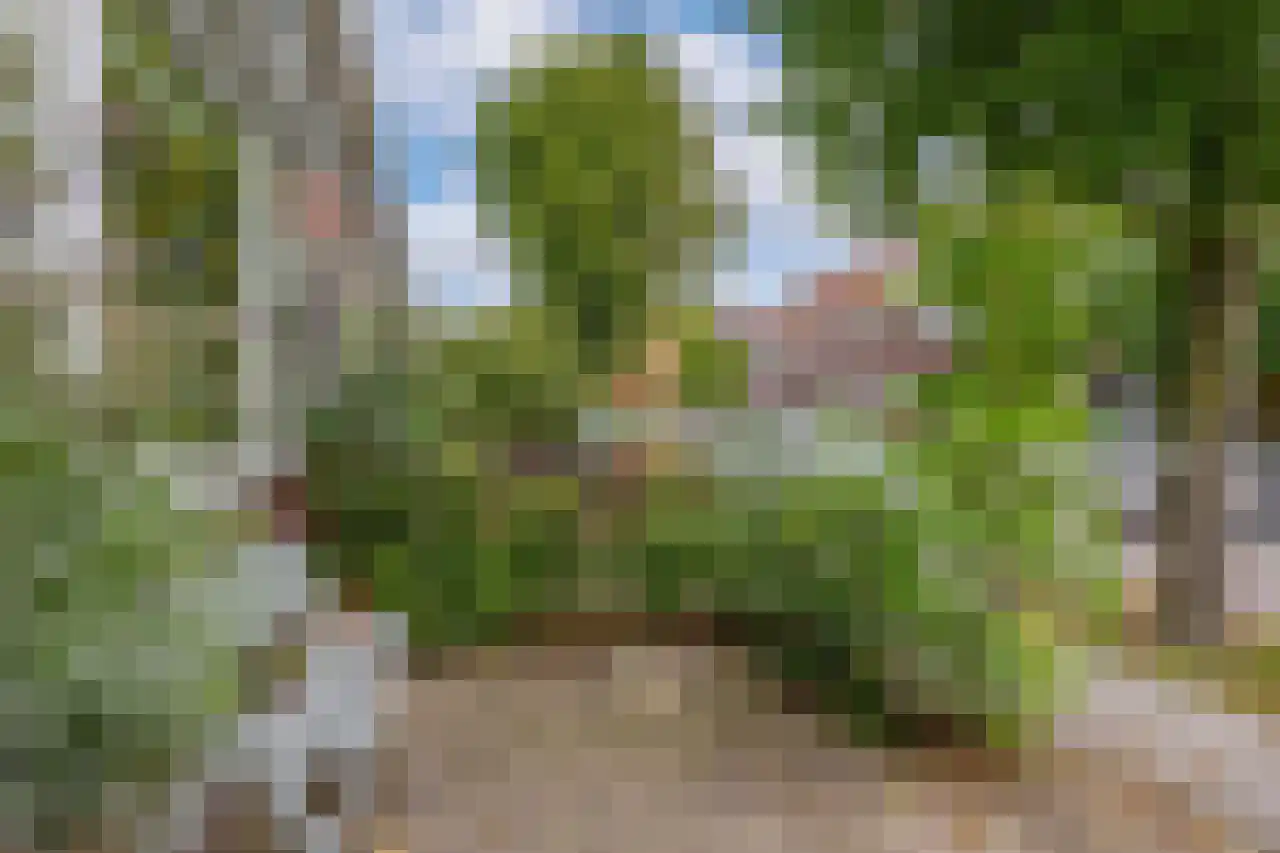 Anemoonstraat 73 Koog aan de Zaan thumbnail 35