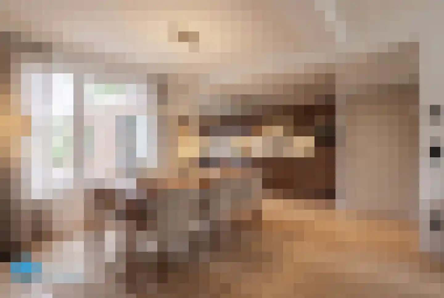 Anemoonstraat 8 Sint-Michielsgestel thumbnail 10