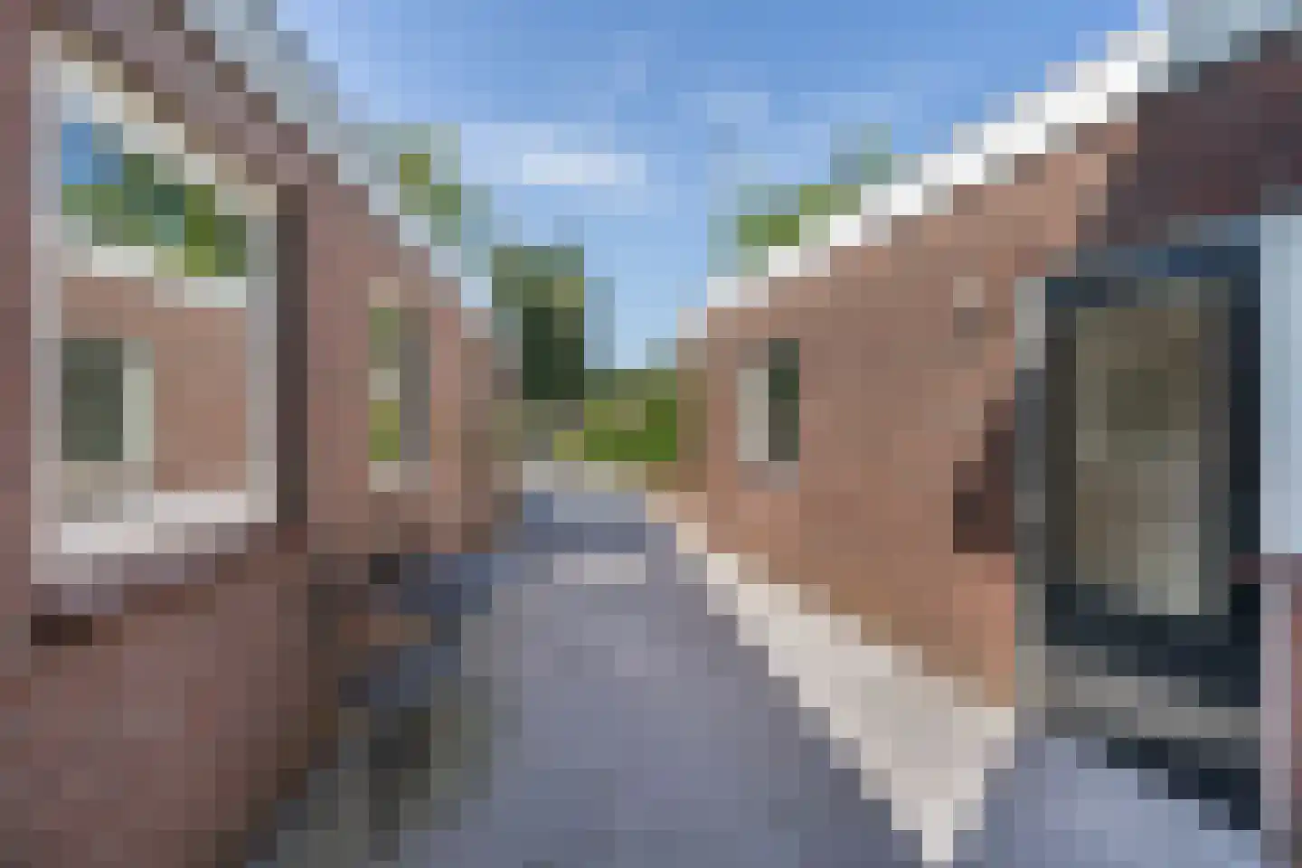 Anemoonstraat 8 Sint-Michielsgestel thumbnail 27