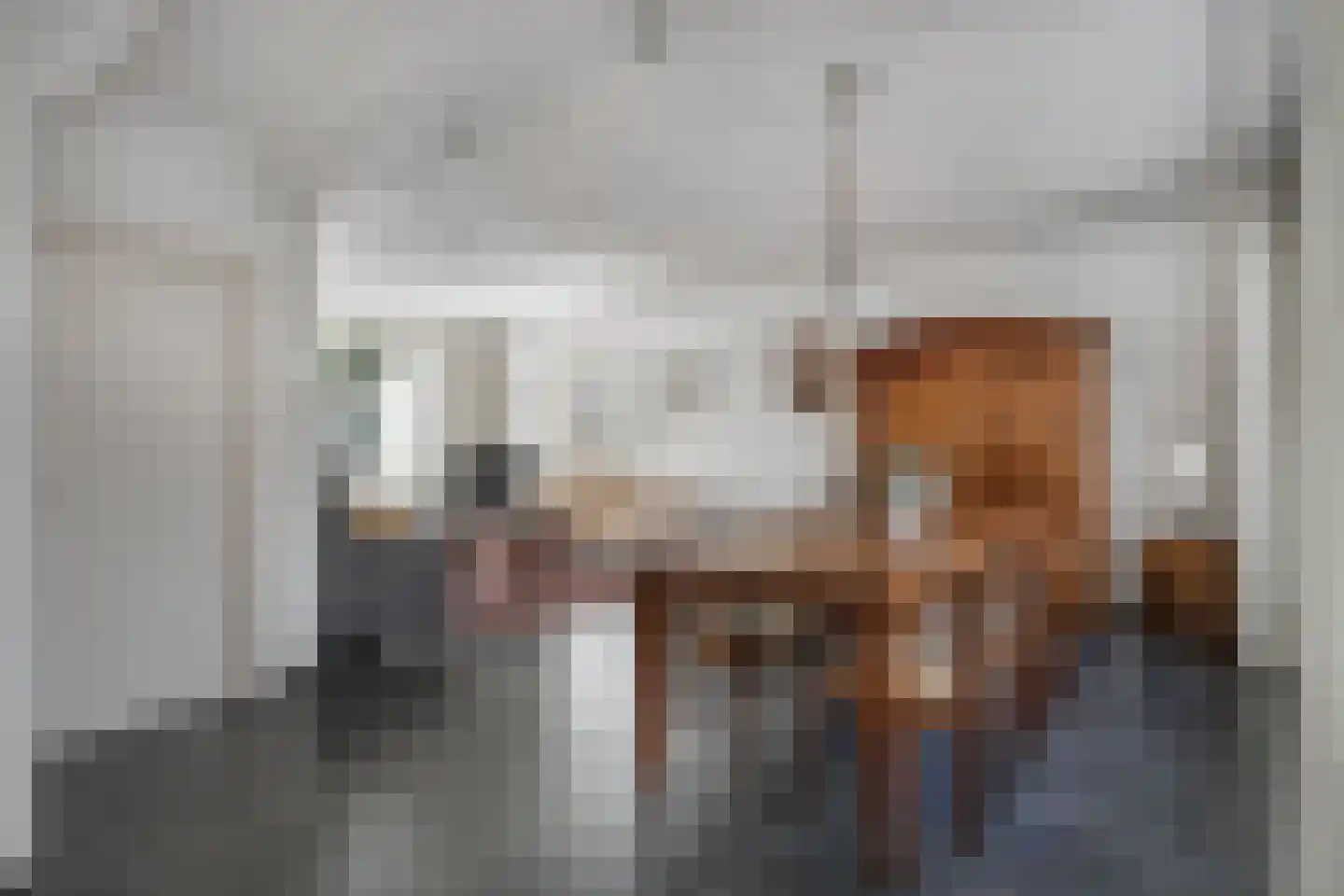 Anemoonstraat 8 Sint-Michielsgestel thumbnail 5