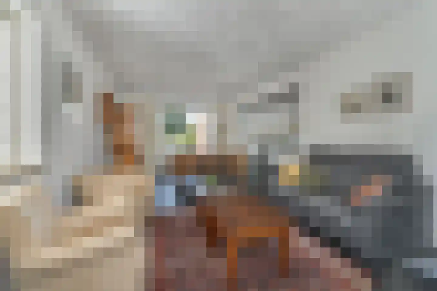 Anemoonstraat 8 Sint-Michielsgestel thumbnail 7