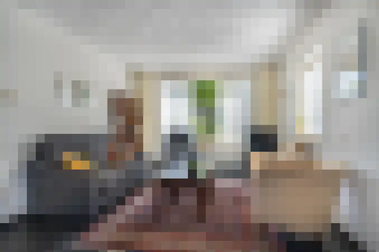 Anemoonstraat 8 Sint-Michielsgestel thumbnail 8