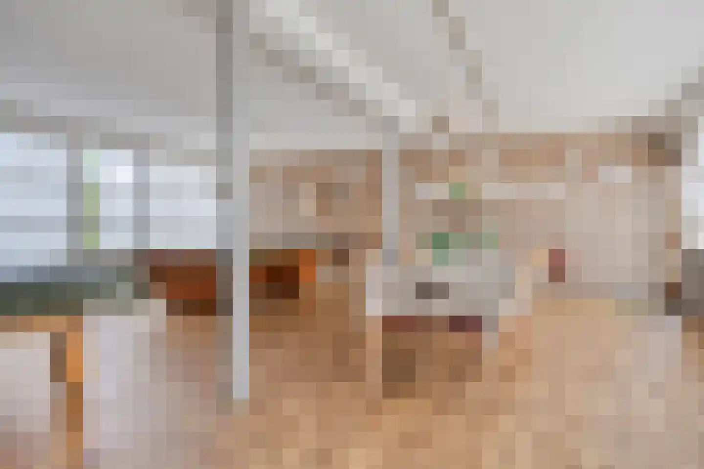 Anemoonstraat 81 Assen thumbnail 25