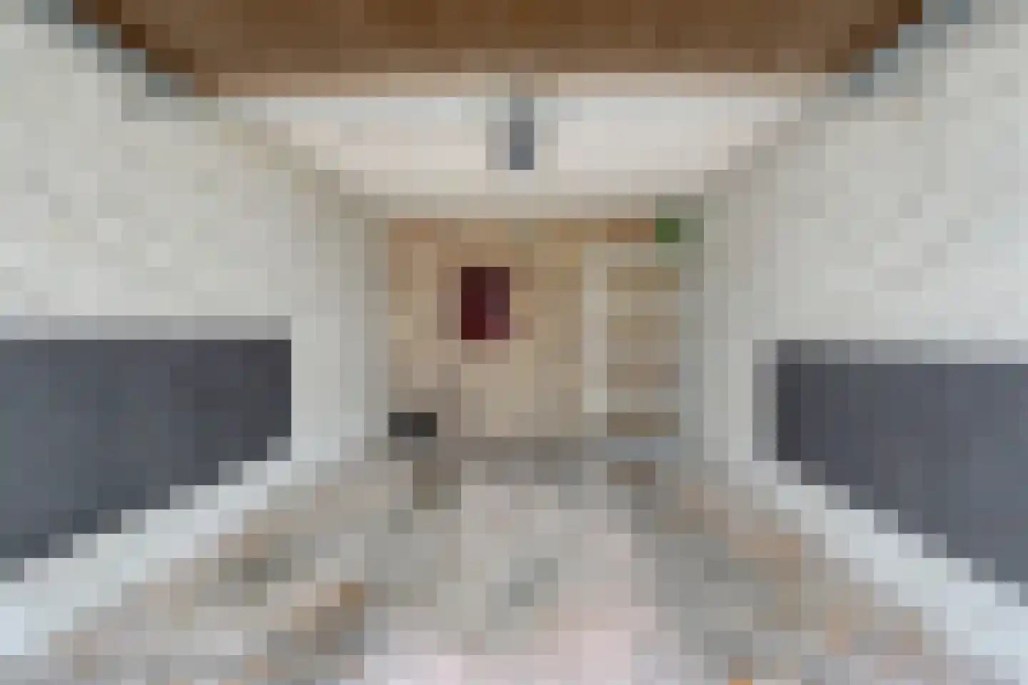 Anemoonstraat 81 Assen thumbnail 32