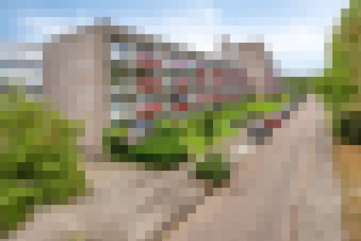 Anemoonstraat 81 Assen thumbnail 6