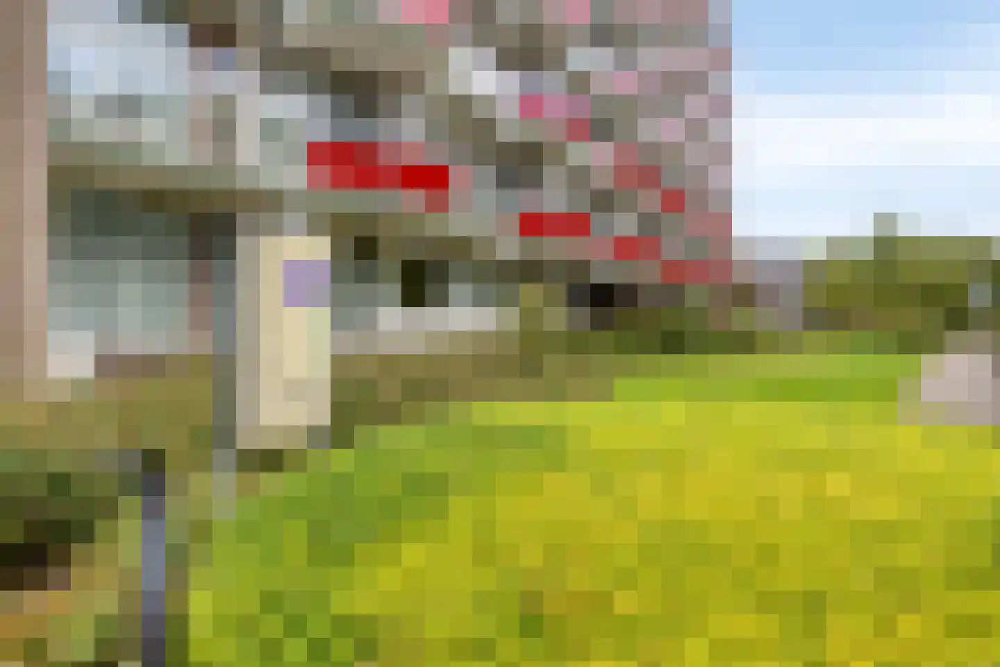 Anemoonstraat 81 Assen thumbnail 9