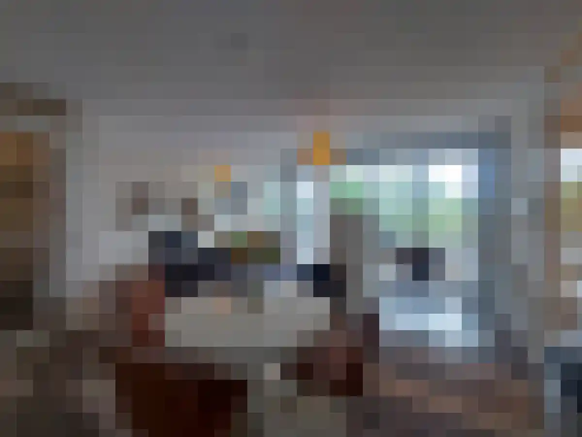 Anemoonstraat Bergen op Zoom thumbnail 4