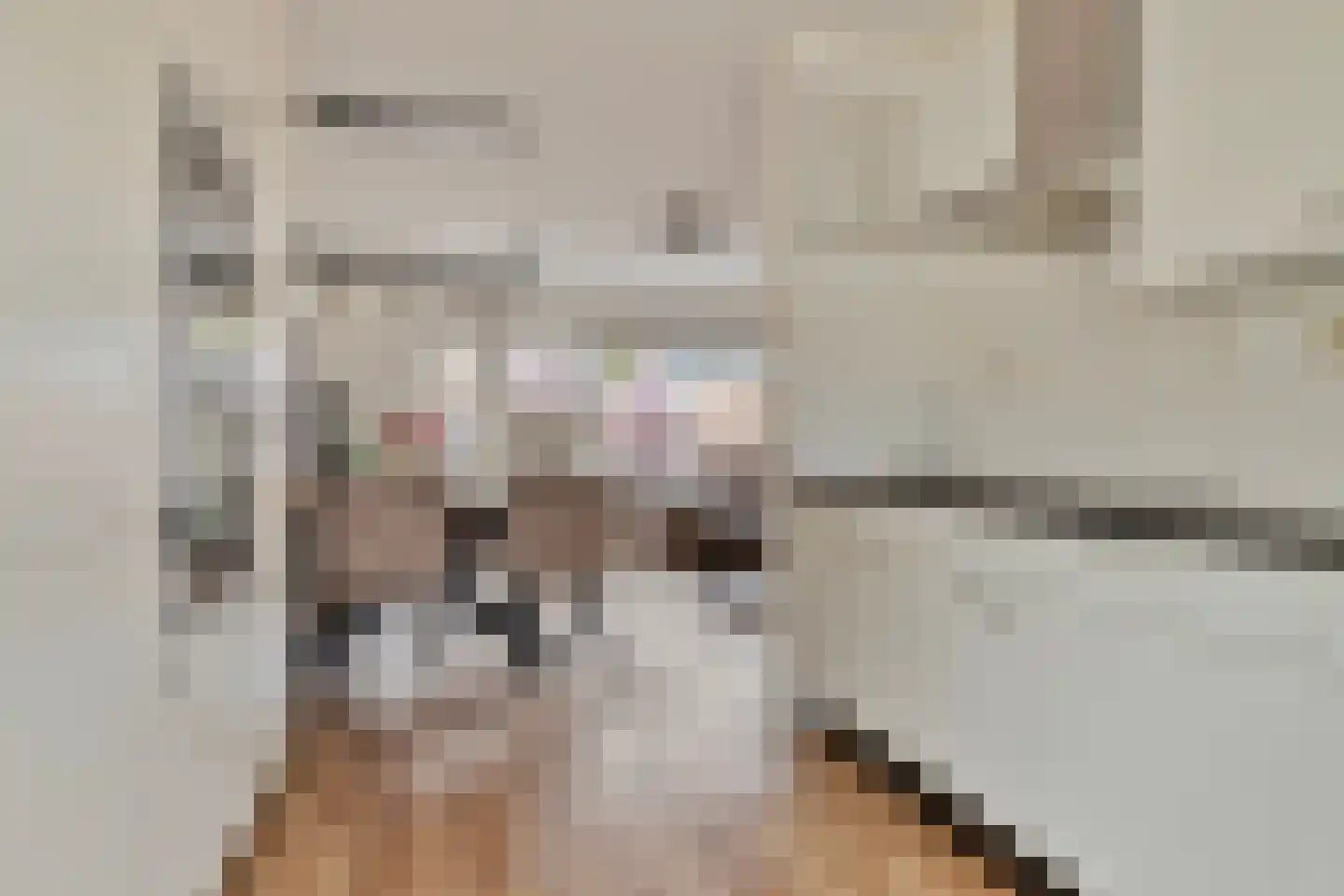 Anemoontuin 7 Zoetermeer thumbnail 14
