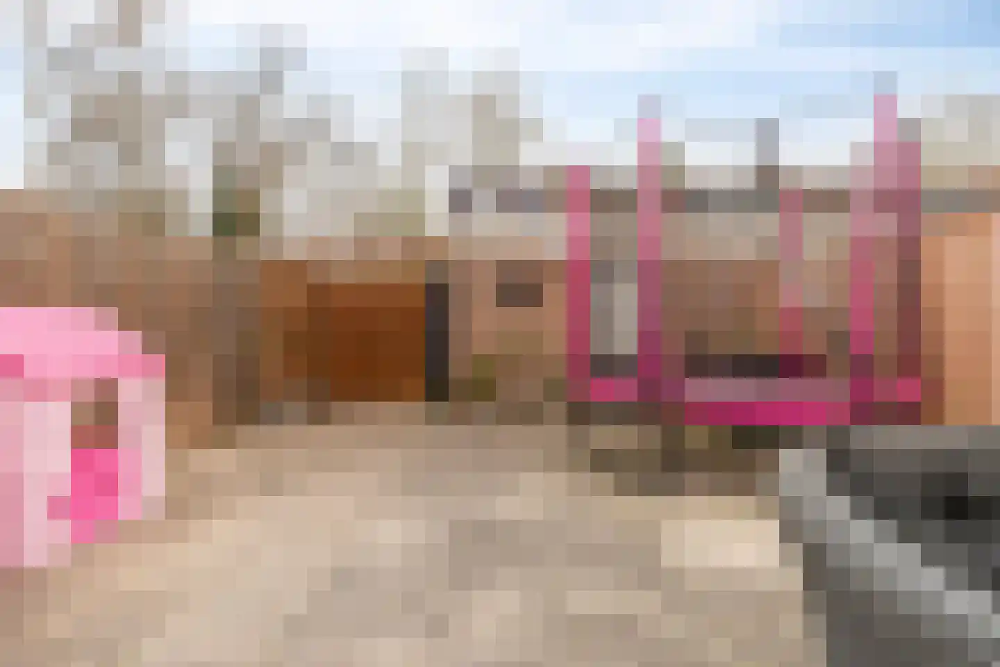 Anemoontuin 7 Zoetermeer thumbnail 30