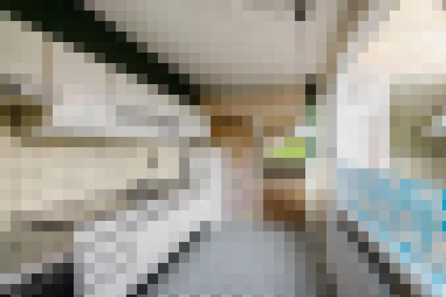 Anemoonweg 11 Paterswolde thumbnail 20