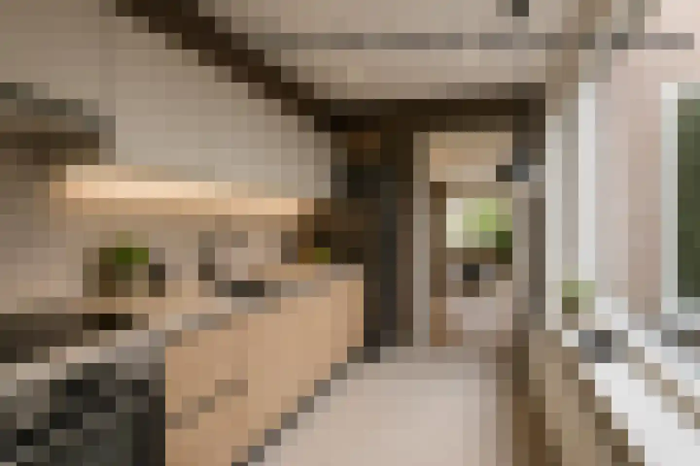 Anemoonweg 11 Paterswolde thumbnail 21