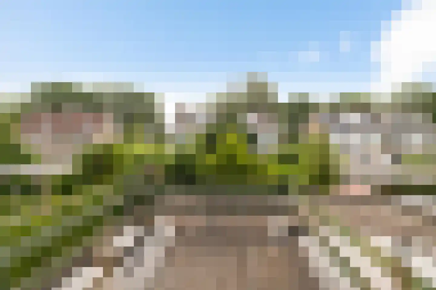 Anemoonweg 11 Paterswolde thumbnail 30