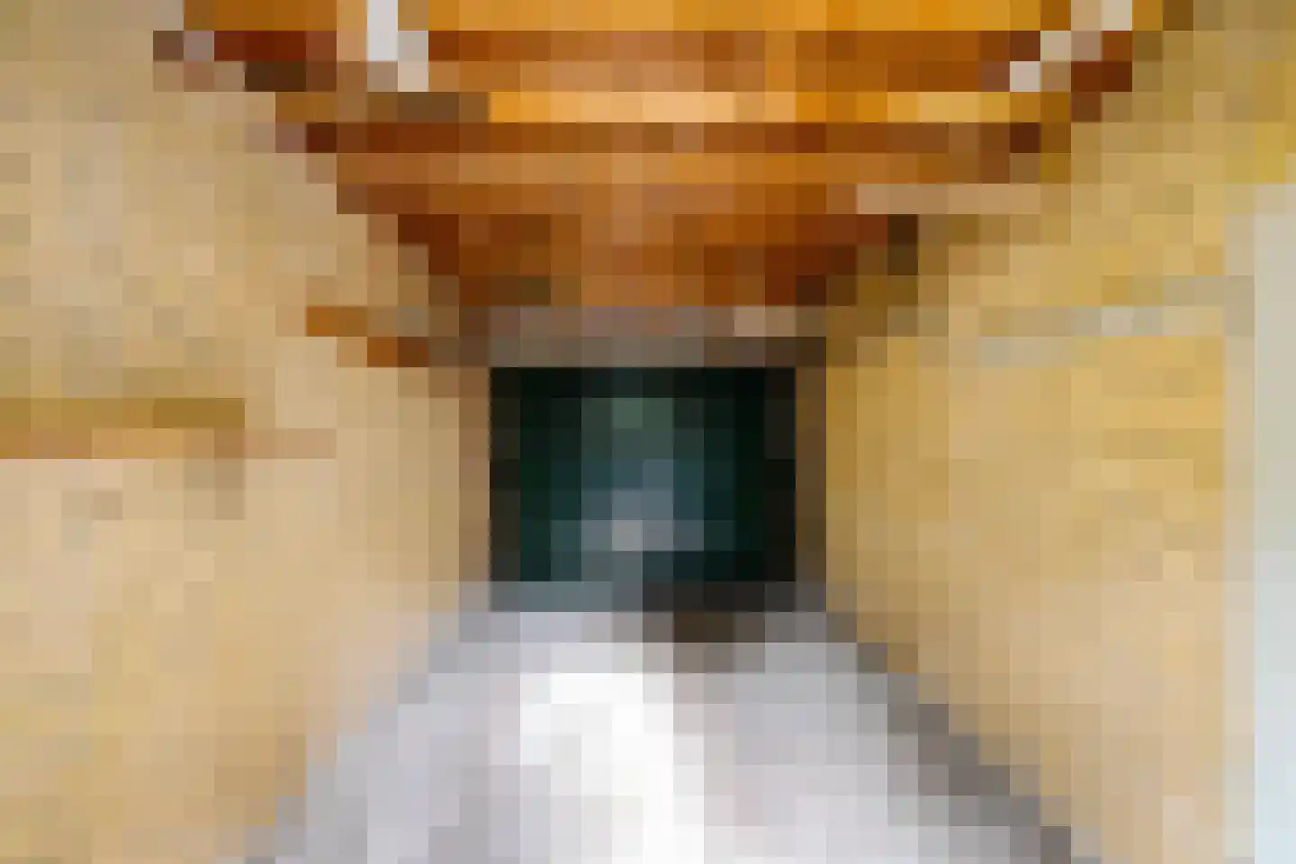 Anemoonweg 11 Paterswolde thumbnail 39