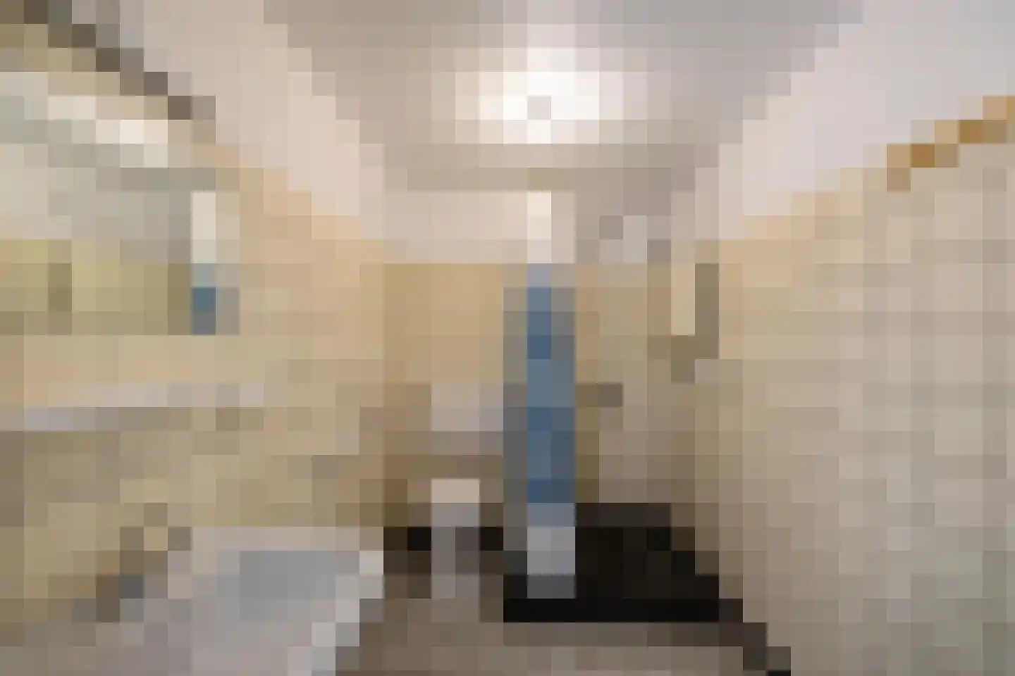 Anemoonweg 11 Paterswolde thumbnail 4