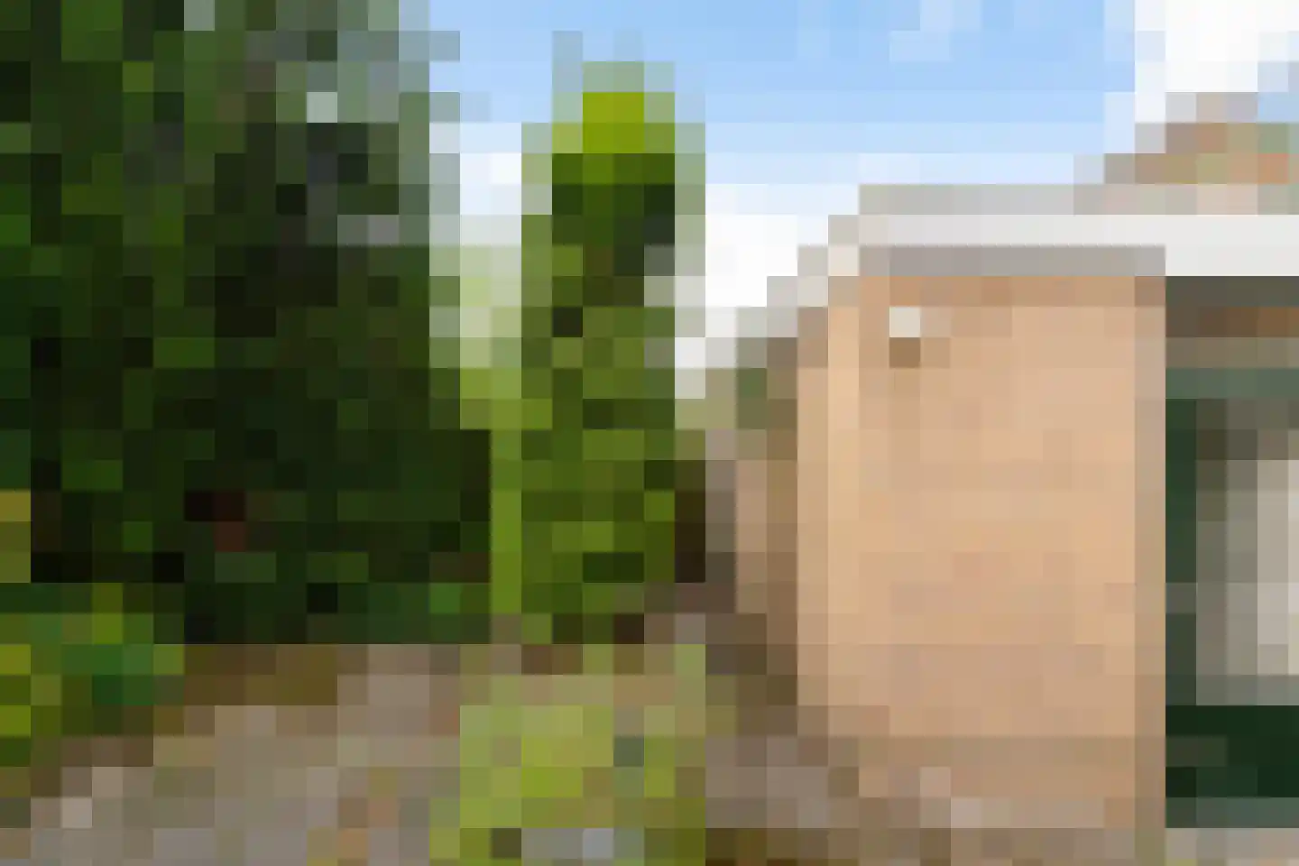 Anemoonweg 11 Paterswolde thumbnail 41