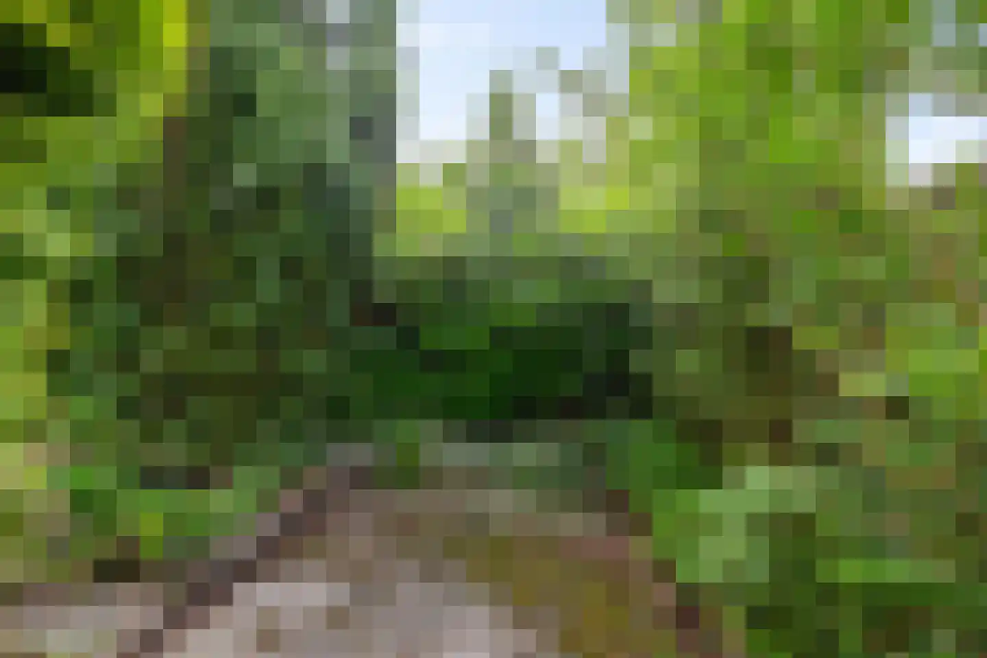 Anemoonweg 11 Paterswolde thumbnail 42