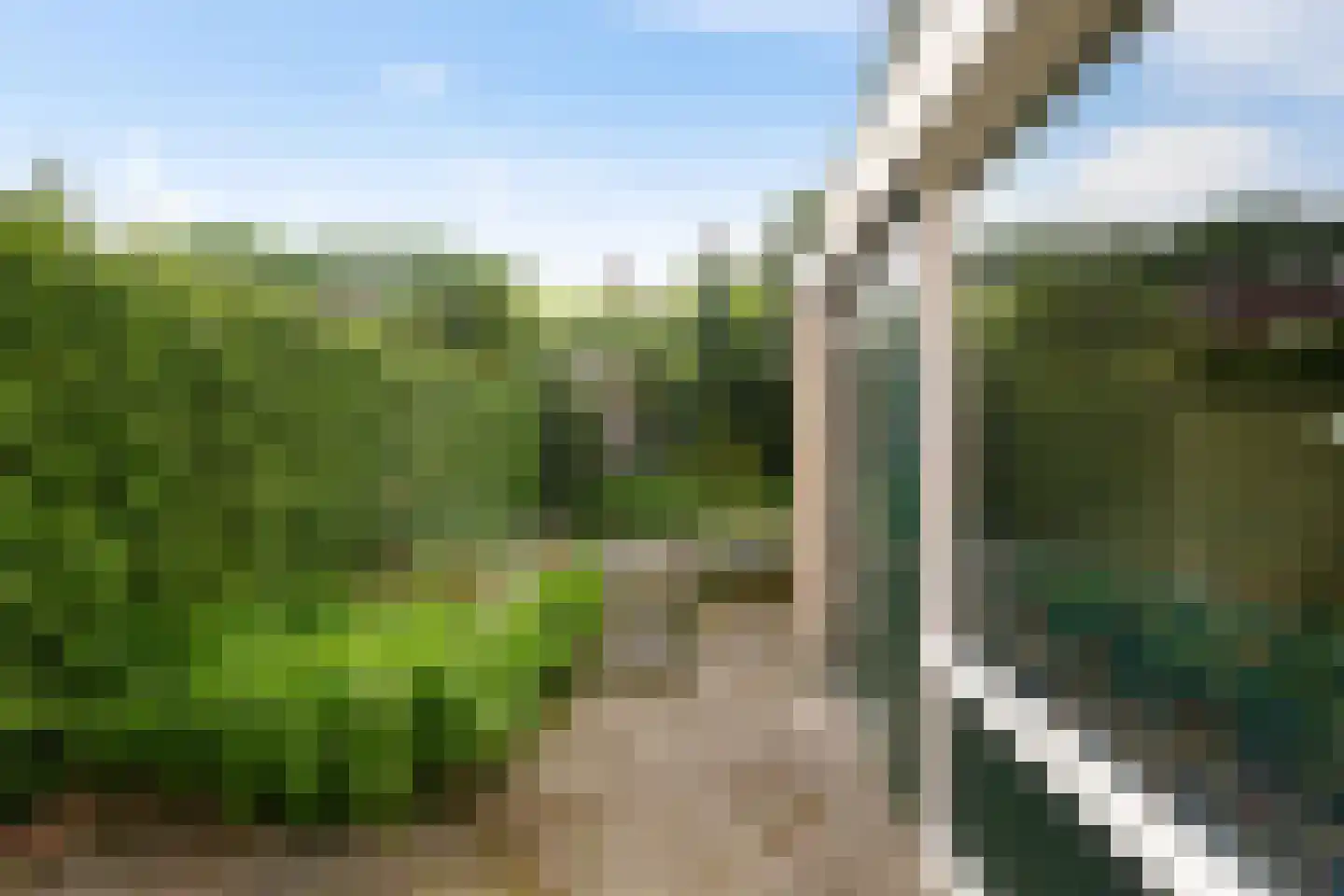 Anemoonweg 11 Paterswolde thumbnail 43