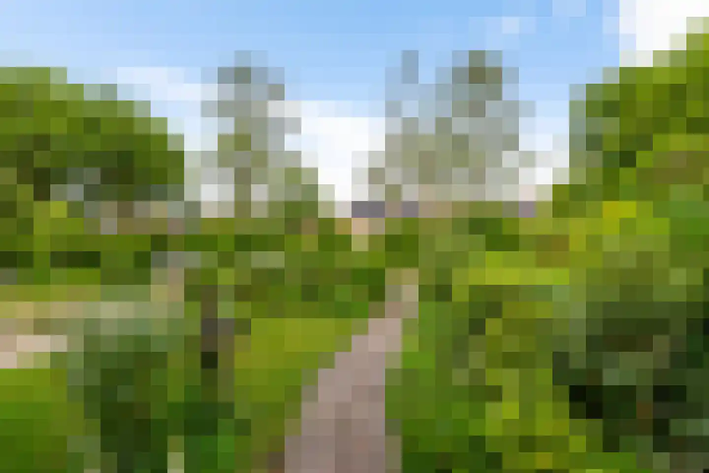Anemoonweg 11 Paterswolde thumbnail 44