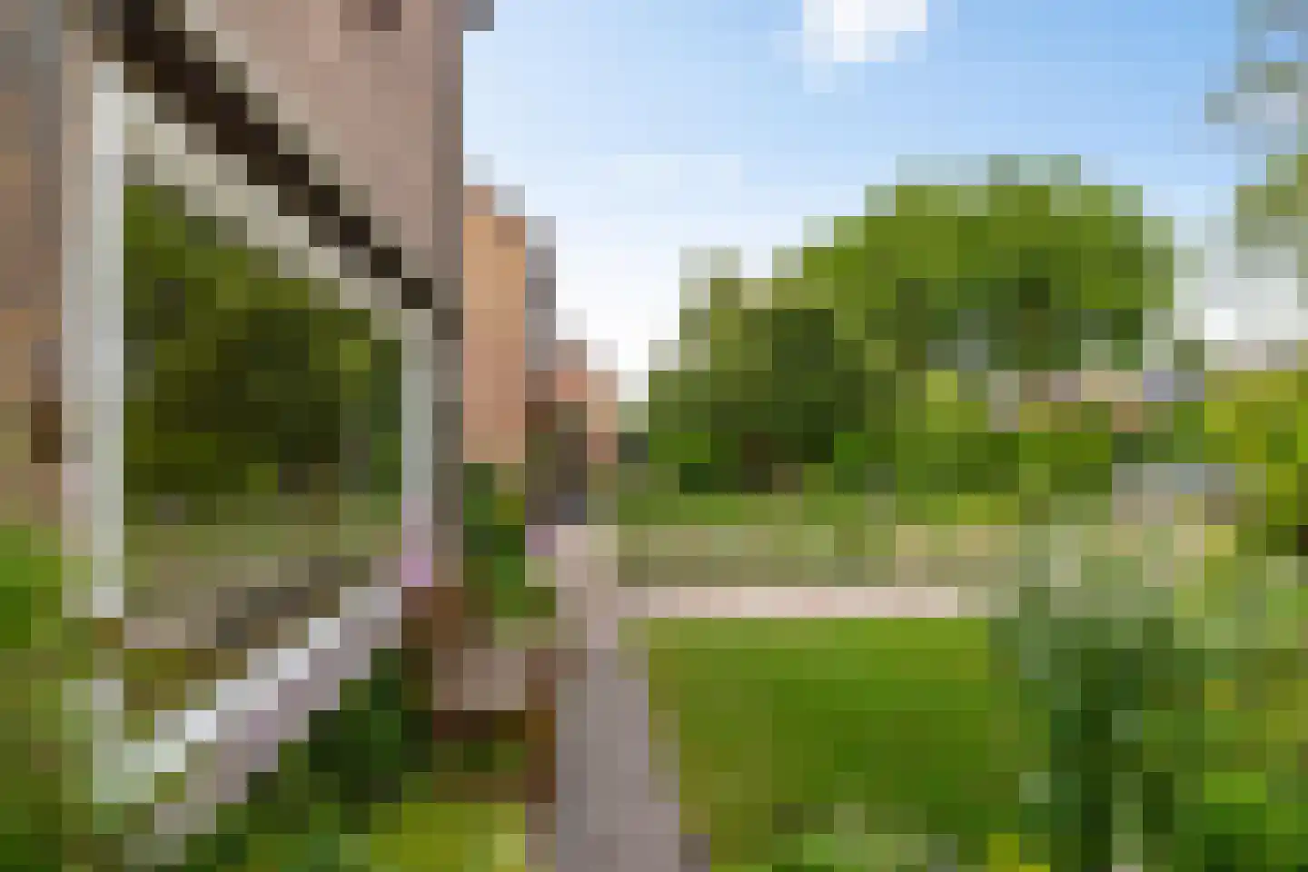 Anemoonweg 11 Paterswolde thumbnail 7