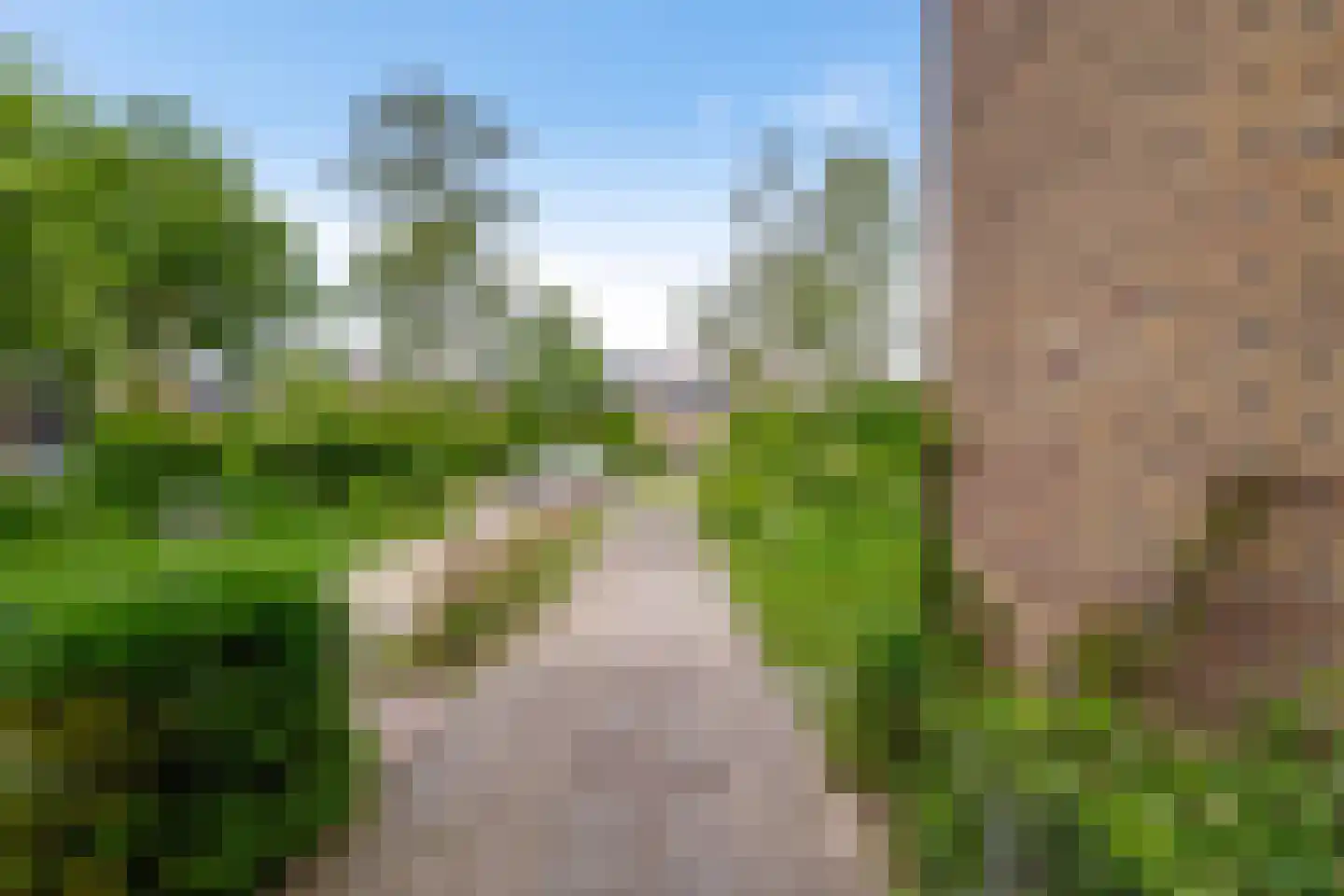 Anemoonweg 11 Paterswolde thumbnail 9