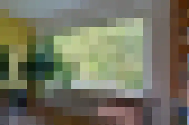 Anemoonweg 15 Paterswolde thumbnail 12