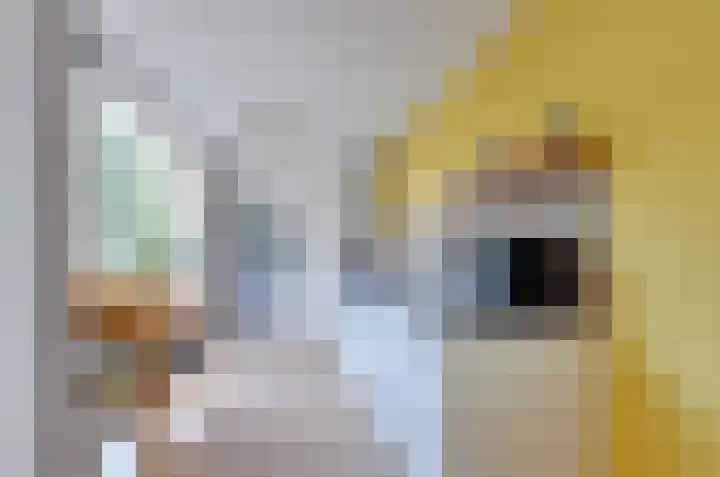 Anemoonweg 15 Paterswolde thumbnail 18