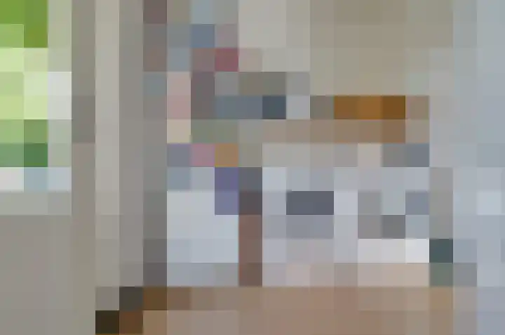 Anemoonweg 15 Paterswolde thumbnail 21